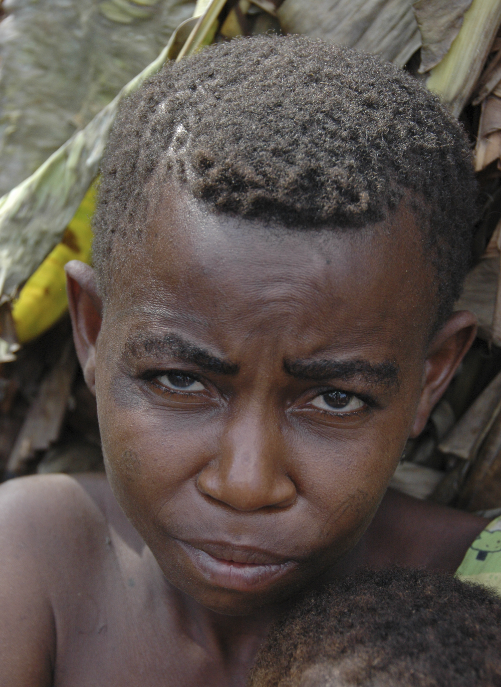 Congo, pygmee, 2003