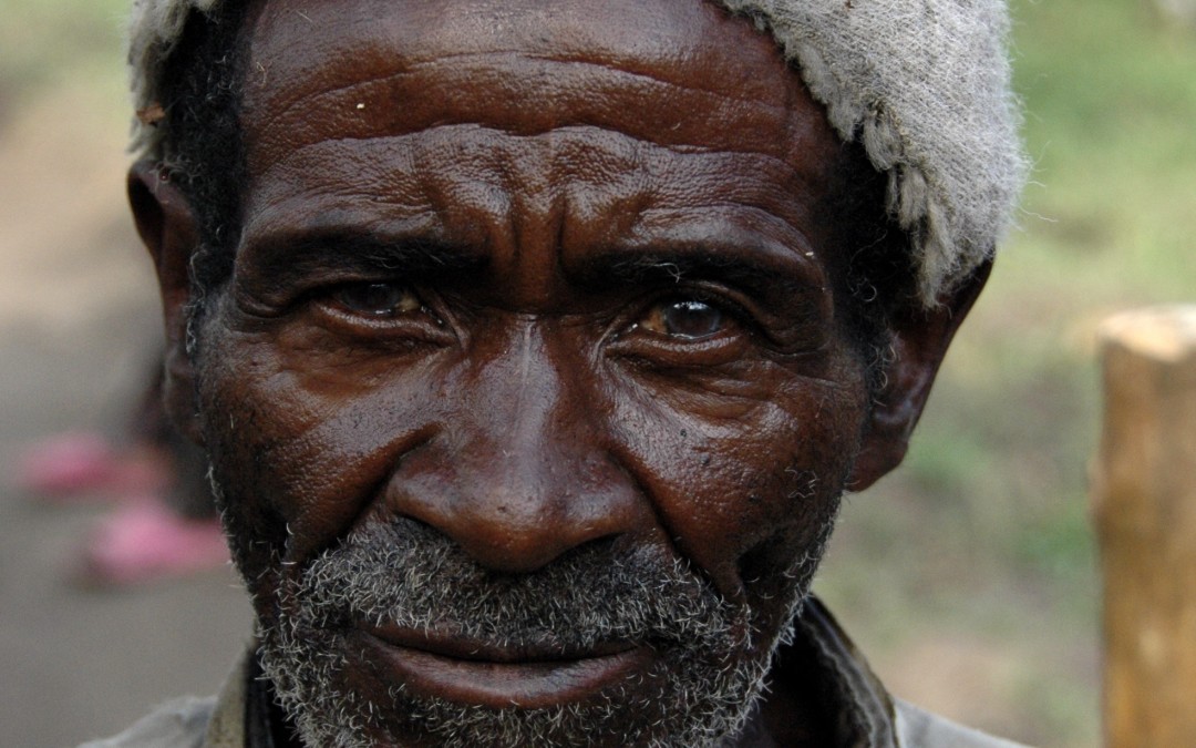 Congo, 2006