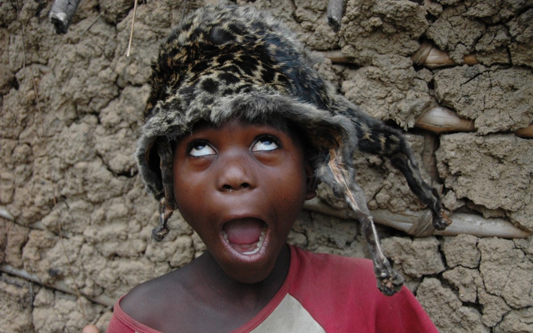 Congo, 2006