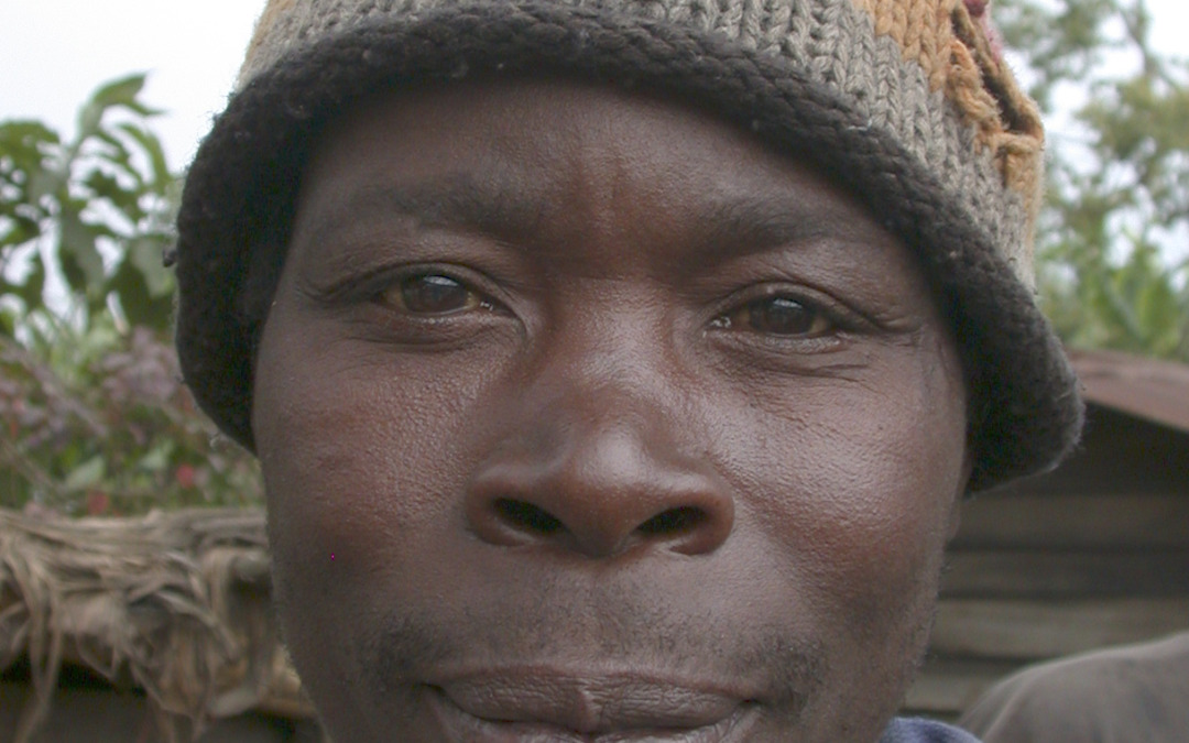 Congo, 2004